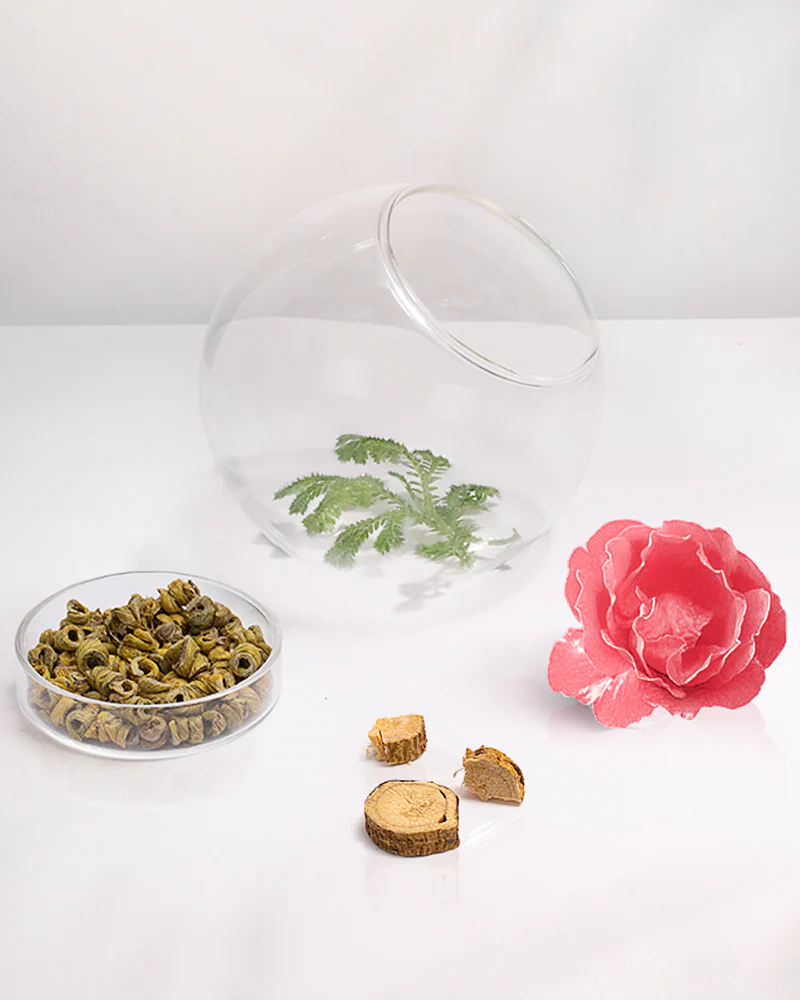 Ginseng Care Lip Balm - Image 5
