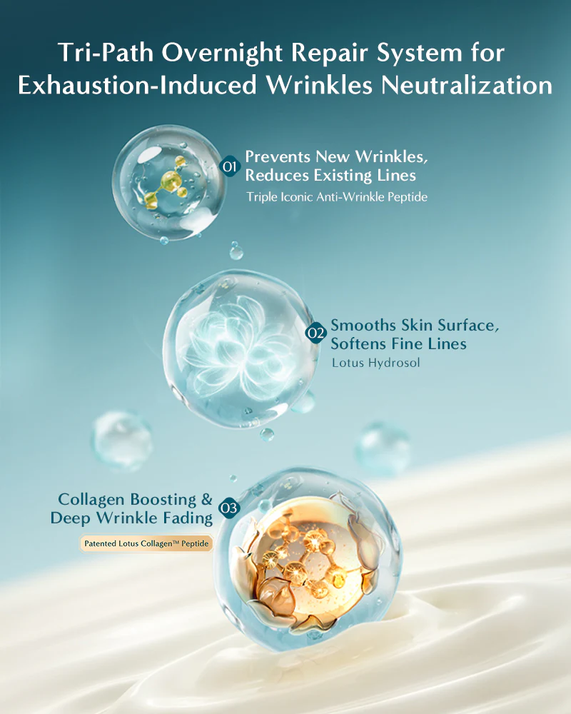 Lotus Radiance Firming Cream - Image 4