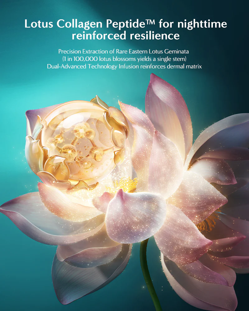 Lotus Radiance Firming Cream - Image 6