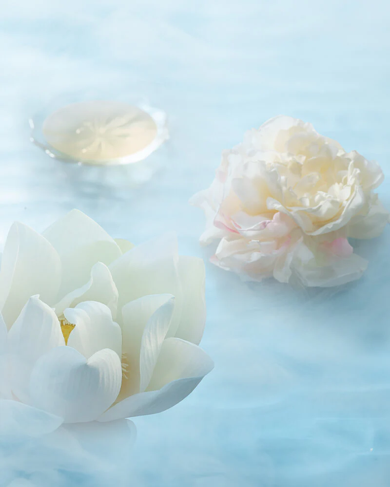 [Members Only] Twin-Lotus Relief Luminous Glow Highlighter + Soft Blooming Highlighter Brush - Image 8